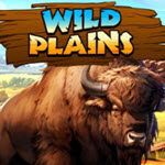Wild Plains