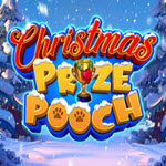 Christmas Prize Pooch