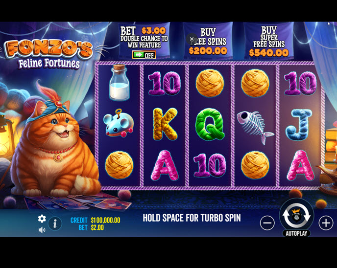 Fonzo’s Feline Fortunes