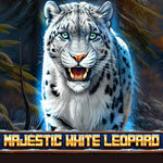 Majestic White Leopard