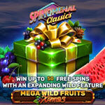 Mega Wild Fruits - Xmas