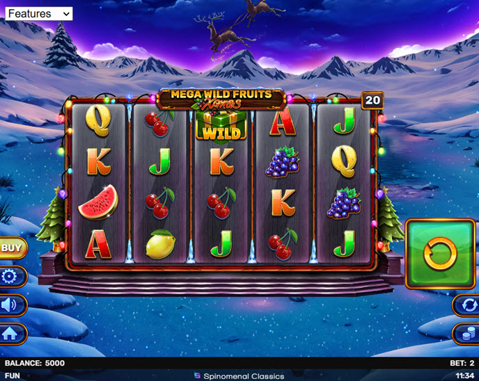 Mega Wild Fruits - Xmas