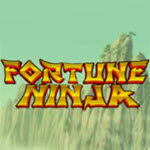 Ninja Fortune