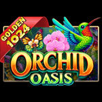 Orchid Oasis