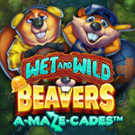 Wet and Wild Beavers