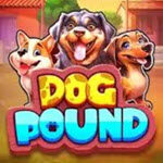 Dog Pound (Reel Kingdom)