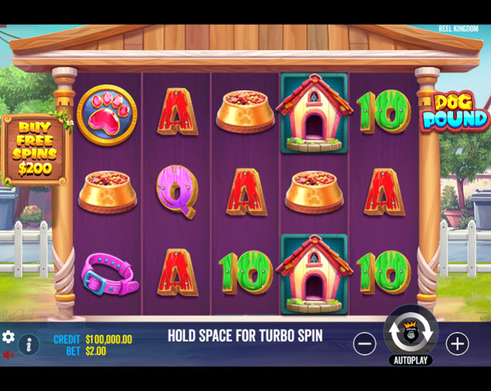 Dog Pound (Reel Kingdom)