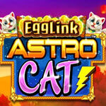 EggLink Astro Cat