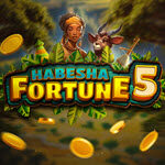 Habesha Fortune 5