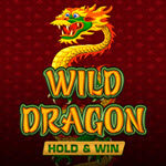 Wild Dragon Hold & Win