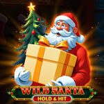 Wild Santa - Hold & Hit