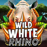 Wild White Rhino