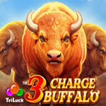 3 Charge Buffalo