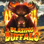 Blazing Buffalo
