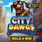 City Dawgs - Hold & Win