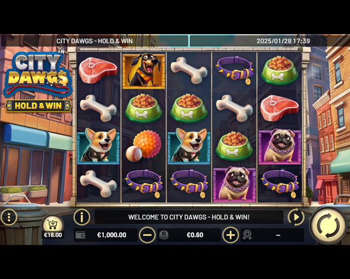 City Dawgs - Hold & Win