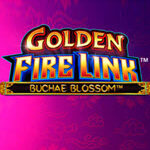 Golden Fire Link Buchae Blossom
