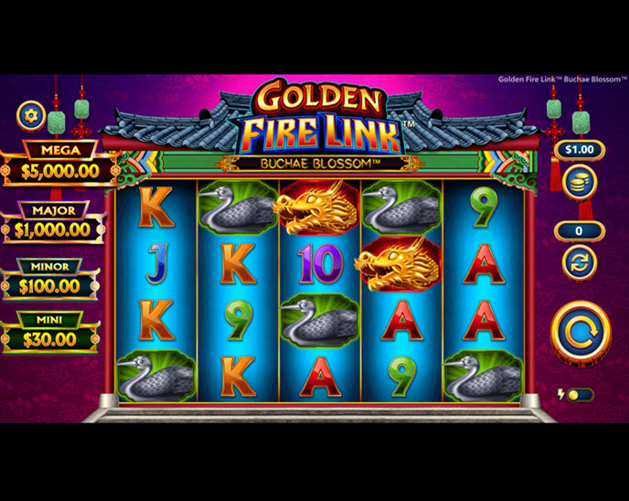 Golden Fire Link Buchae Blossom