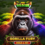 Gorilla Fury Hold & Hit