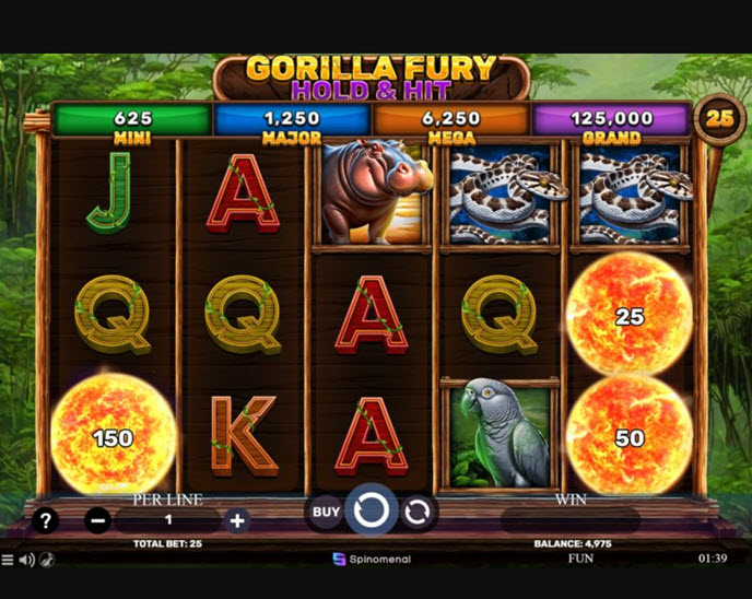 Gorilla Fury Hold & Hit