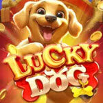 Lucky Dog (Fat Panda)