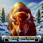 Majestic Wild Buffalo — Winter Wonderland