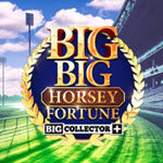 Big Big Horsey Fortune