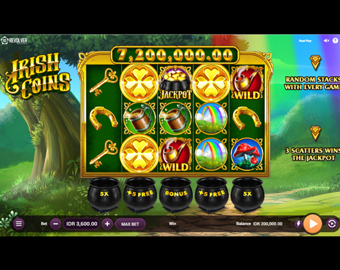 Irish Coins (568win)