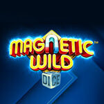 Magnetic Wild Dice