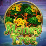 Money Tree (568win)