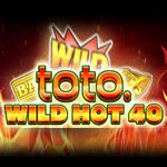 Toto Wild Hot 40