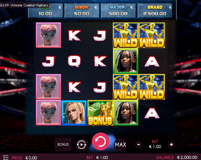 Ultimate Combat Fighters