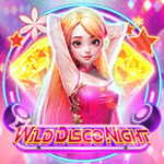Wild Disco Night