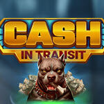 Cash in Transit