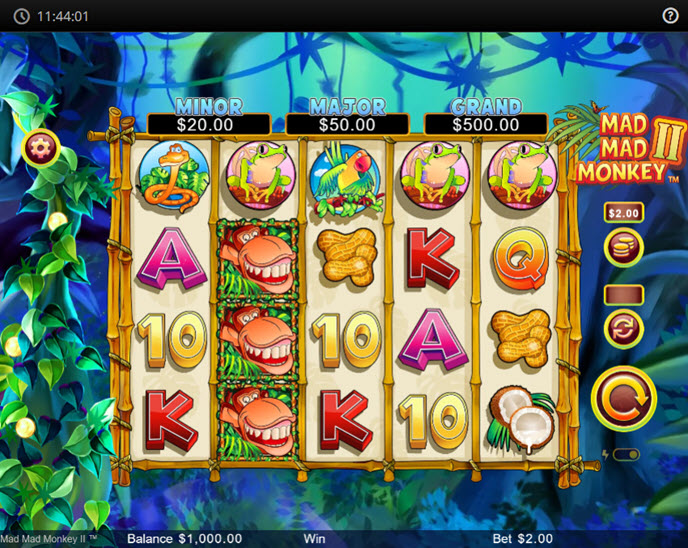 Mad Mad Monkey 2