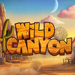 Wild Canyon