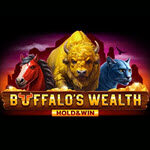 Buffalo’s Wealth Hold & Win