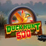 Duck Hunt 500