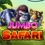 Jumbo Safari