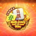 Mahjong Self-Drawn Win