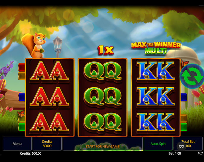 Max the Winner Multi