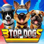 3 Top Dogs