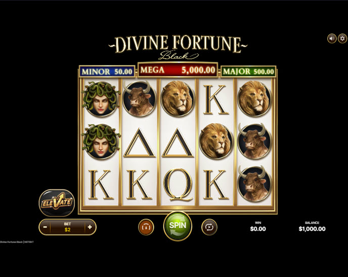 Divine Fortune Black