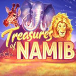 Treasures of Namib