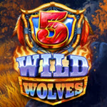 5 Wild Wolves