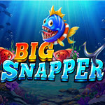 Big Snapper