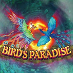 Birds Paradise
