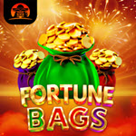 Fortune Bags