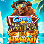 Going Wild in Hawaii