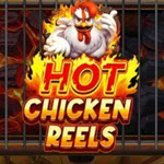 Hot Chicken Reels